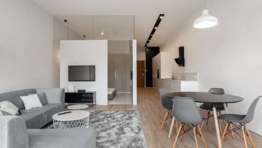 Small,And,Stylish,Designed,Open,Plan,Apartment,With,Kitchen,,Living